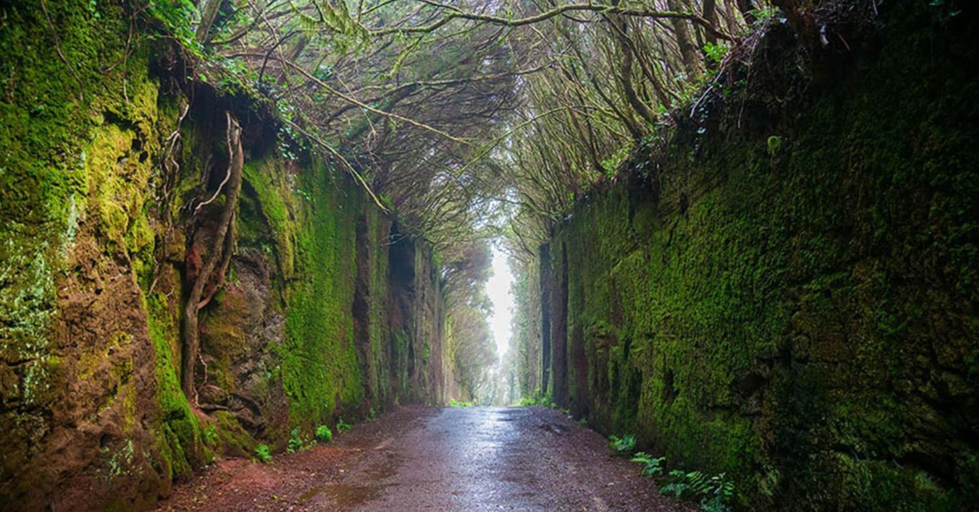 Apartmán Baru La Laguna  Exteriér fotografie